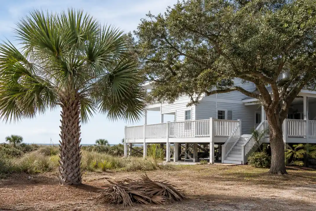 A trimmed sabal palmetto and live oak stand beside a raised coastal home with cut palm fronds on the ground.
